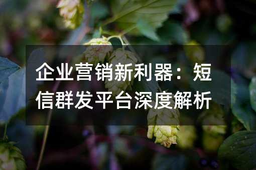 企业营销新利器:短信群发平台深度解析