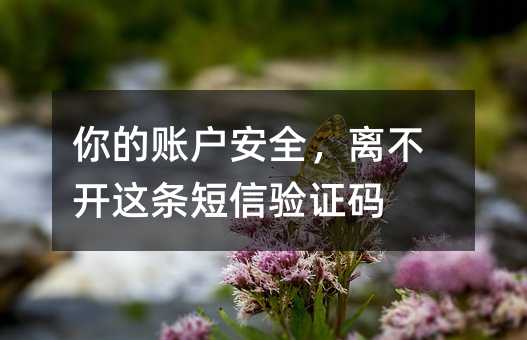你的账户安全,离不开这条短信验证码