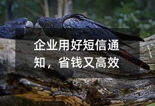 企业用好短信通知,省钱又高效