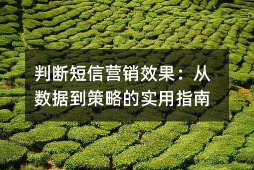 判断短信营销效果:从数据到策略的实用指南