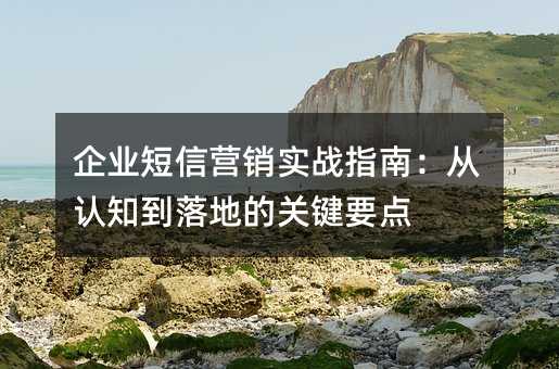 企业短信营销实战指南:从认知到落地的关键要点