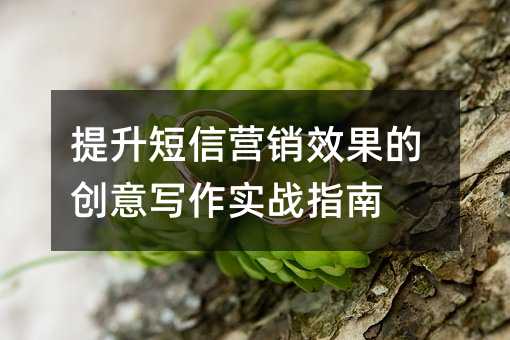 提升短信营销效果的创意写作实战指南