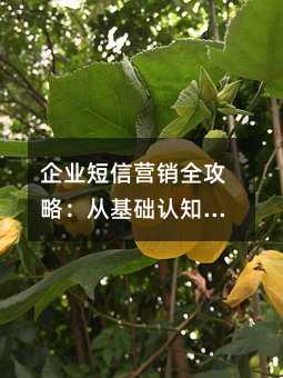 ��ҵ����Ӫ��ȫ���ԣ��ӻ�����֪����ϸ��Ӫ