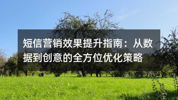 短信营销效果提升指南:从数据到创意的全方位优化策略