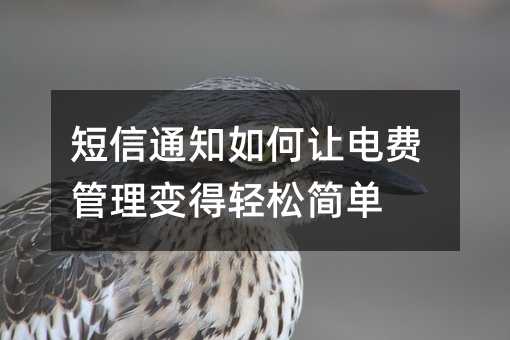 短信通知如何让电费管理变得轻松简单