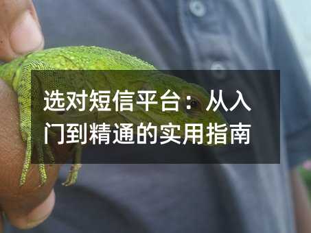 选对短信平台:从入门到精通的实用指南