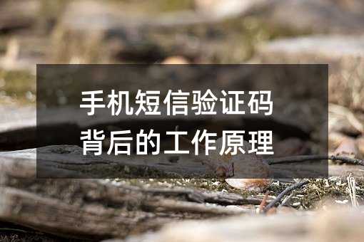 �ֻ�������֤�뱳��Ĺ���ԭ��