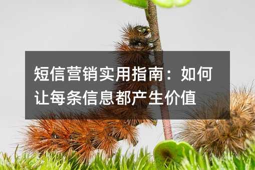 短信营销实用指南:如何让每条信息都产生价值
