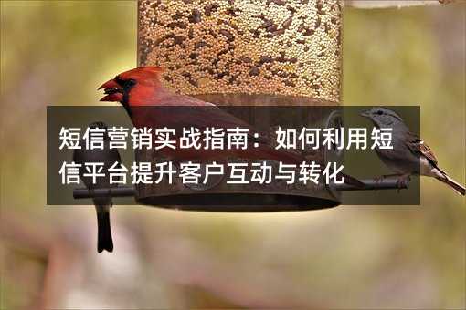 短信营销实战指南:如何利用短信平台提升客户互动与转化