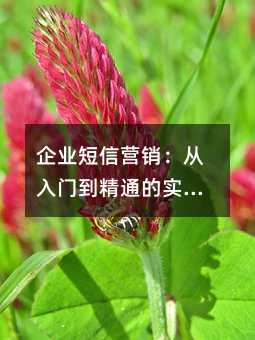 ��ҵ����Ӫ���������ŵ���ͨ��ʵ��ָ��