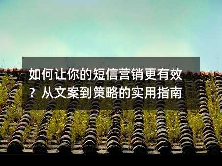�������Ķ���Ӫ������Ч�����İ������Ե�ʵ��ָ��
