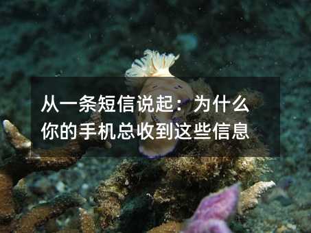 ��һ������˵��Ϊʲô����ֻ����յ���Щ��Ϣ