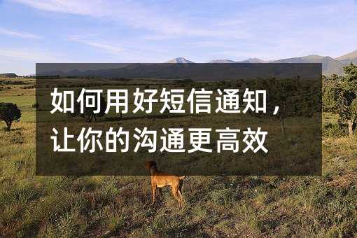 如何用好短信通知,让你的沟通更高效