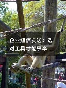 ��ҵ���ŷ��ͣ�ѡ�Թ��߲����°빦��