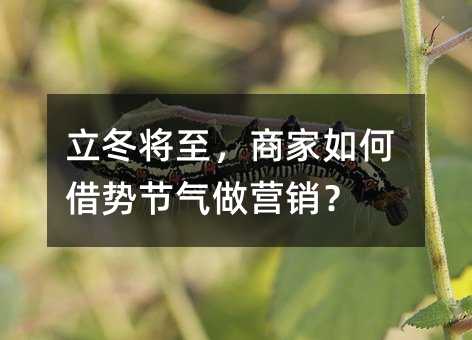 �����������̼���ν��ƽ�����Ӫ����