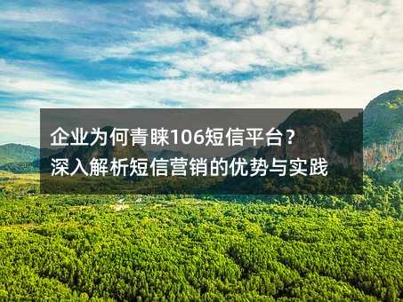企业为何青睐106短信平台?深入解析短信营销的优势与实践