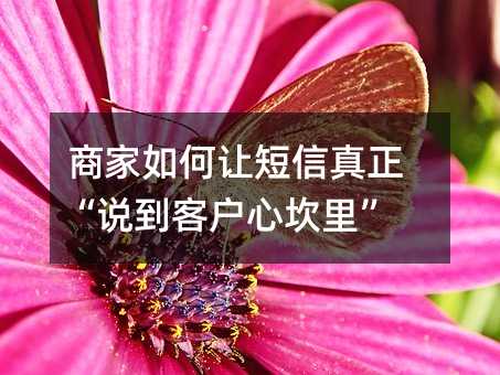 商家如何让短信真正“说到客户心坎里”