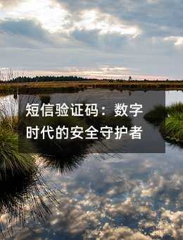������֤�룺����ʱ���İ�ȫ�ػ���