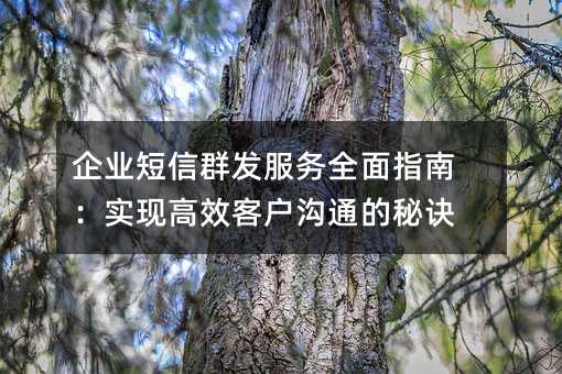 ��ҵ����Ⱥ������ȫ��ָ�ϣ�ʵ�ָ�Ч�ͻ���ͨ���ؾ�