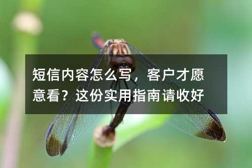 ¶ÌÐÅÄÚÈÝÔõôд£¬¿Í»§²ÅÔ¸Òâ¿´£¿Õâ·ÝʵÓÃÖ¸ÄÏÇëÊÕºÃ