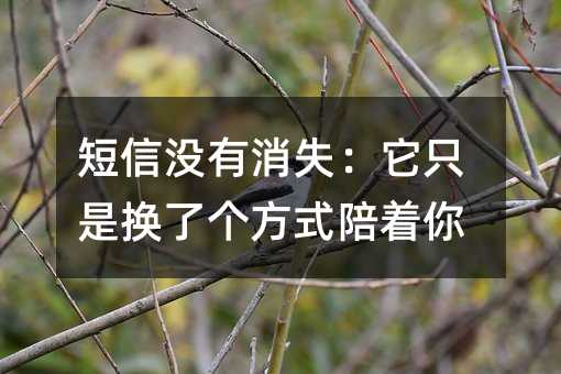 短信没有消失:它只是换了个方式陪着你