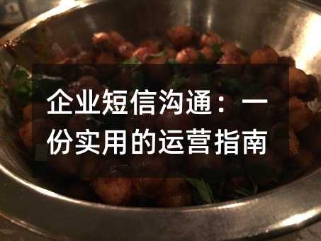 企业短信沟通:一份实用的运营指南