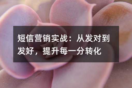 短信营销实战:从发对到发好,提升每一分转化
