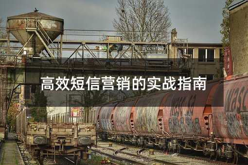 高效短信营销的实战指南