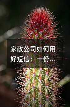 家政公司如何用好短信:一份接地气的运营指南