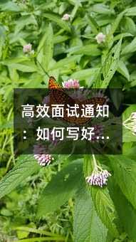 高效面试通知:如何写好一条打动求职者的短信