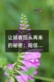 让顾客回头再来的秘密:短信如何唤醒沉睡的消费力