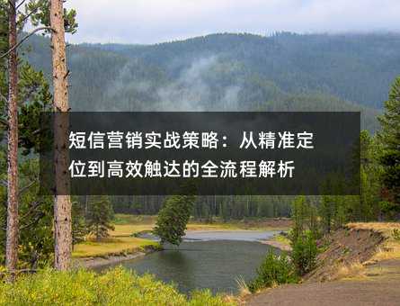 短信营销实战策略:从精准定位到高效触达的全流程解析
