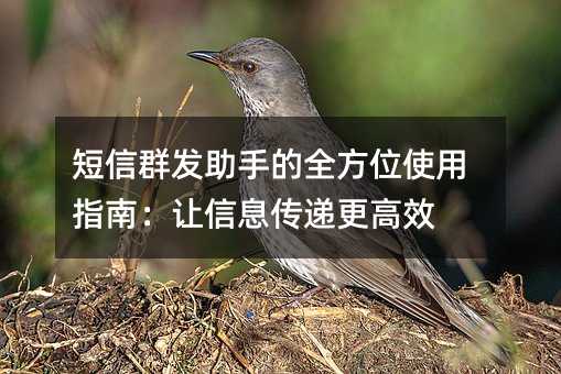 短信群发助手的全方位使用指南:让信息传递更高效