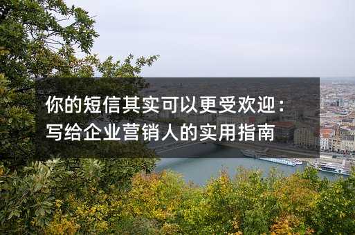 你的短信其实可以更受欢迎:写给企业营销人的实用指南
