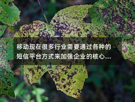 移动现在很多行业需要通过各种的短信平台方式来加强企业的核心竞争力!