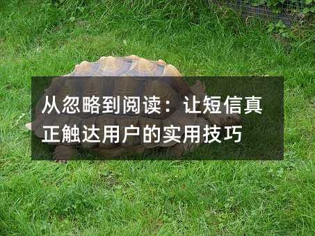 从忽略到阅读:让短信真正触达用户的实用技巧