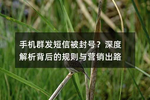 手机群发短信被封号?深度解析背后的规则与营销出路