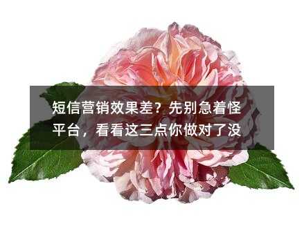 短信营销效果差?先别急着怪平台,看看这三点你做对了没