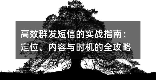 高效群发短信的实战指南:定位、内容与时机的全攻略