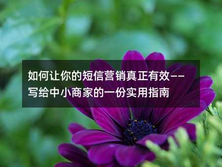 如何让你的短信营销真正有效——写给中小商家的一份实用指南