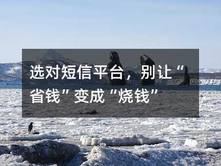 选对短信平台,别让“省钱”变成“烧钱”