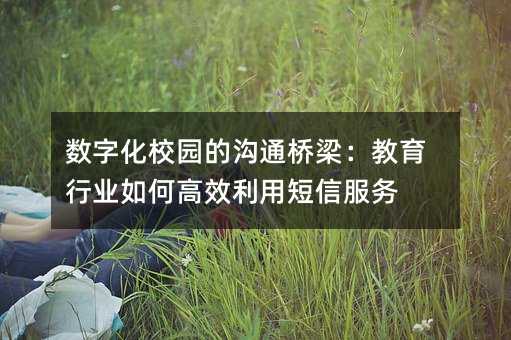 数字化校园的沟通桥梁:教育行业如何高效利用短信服务