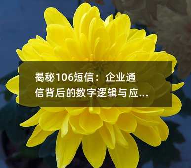 揭秘106短信:企业通信背后的数字逻辑与应用价值