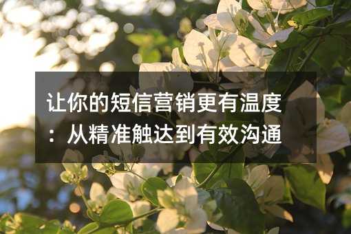 让你的短信营销更有温度:从精准触达到有效沟通