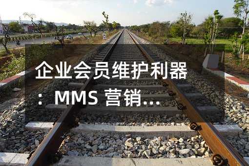 企业会员维护利器:MMS 营销实战指南