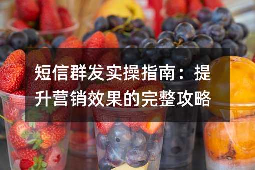 短信群发实操指南:提升营销效果的完整攻略