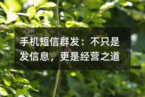 手机短信群发:不只是发信息,更是经营之道