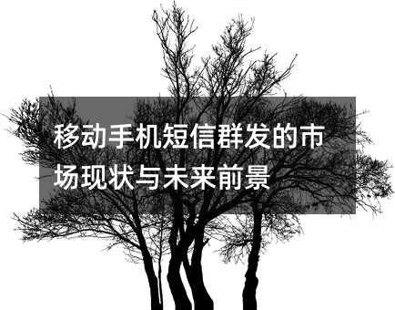 移动手机短信群发的市场现状与未来前景
