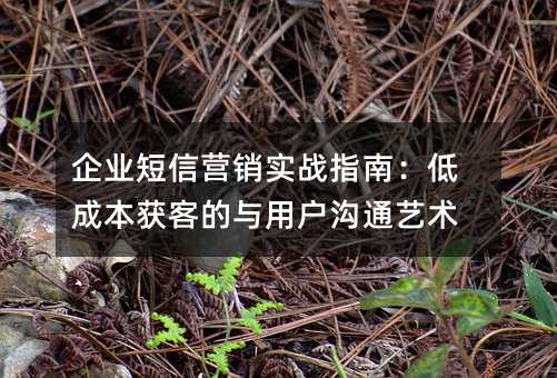 企业短信营销实战指南:低成本获客的与用户沟通艺术