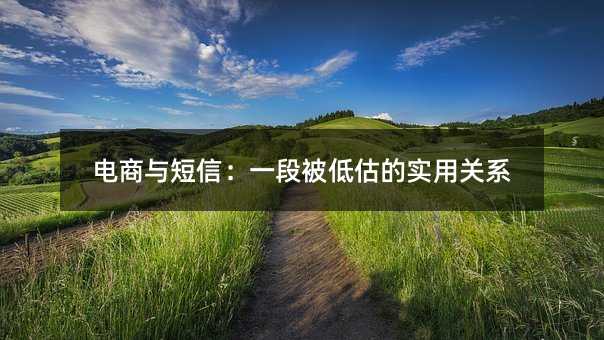 电商与短信:一段被低估的实用关系